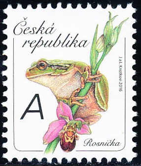 Rosnička Rosnička