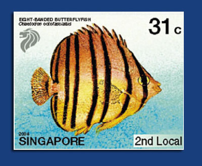 SINGAPORE 2004 (28. 8. - 1. 9. 2004) SINGAPORE 2004 (28. 8. - 1. 9. 2004)