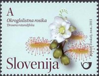 Slovinsko 2/2011 Slovinsko 2/2011