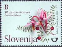 Slovinsko 2/2011 Slovinsko 2/2011
