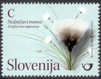 Slovinsko 2/2011 Slovinsko 2/2011