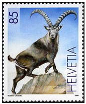 Švýcarsko 1/2006 Švýcarsko 1/2006