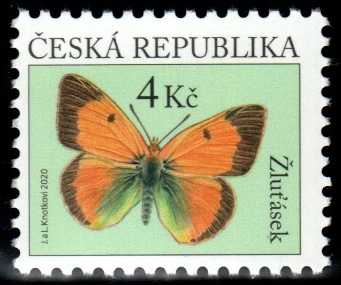 Žluťásek Žluťásek