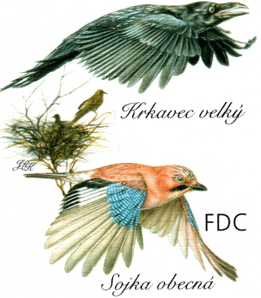 Zpěvní ptáci v našem okolí - Krkavcovití Zpěvní ptáci v našem okolí - Krkavcovití