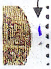 Zpravodaj 1/2005: Známky pod drobnohledem - 4 Zpravodaj 1/2005: Známky pod drobnohledem - 4