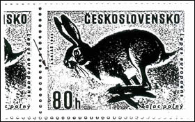 Zpravodaj 2/2003: Objevy našich čtenářů Zpravodaj 2/2003: Objevy našich čtenářů