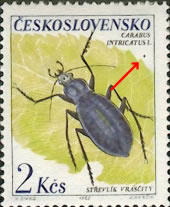 Zpravodaj 2/2004: Známky pod drobnohledem Zpravodaj 2/2004: Známky pod drobnohledem