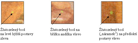 Zpravodaj 4/2005: A 0289 České barokní umění – V.V.Reiner Zpravodaj 4/2005: A 0289 České barokní umění – V.V.Reiner