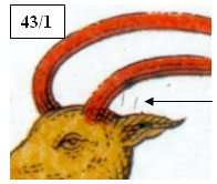 Zpravodaj 4/2005: Znamení zvěrokruhu – Kozoroh (kat. č. 200) Zpravodaj 4/2005: Znamení zvěrokruhu – Kozoroh (kat. č. 200)