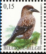 Belgie 1/2008 Belgie 1/2008