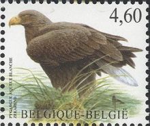 Belgie 1/2009