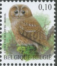 Belgie 4/2009 Belgie 4/2009