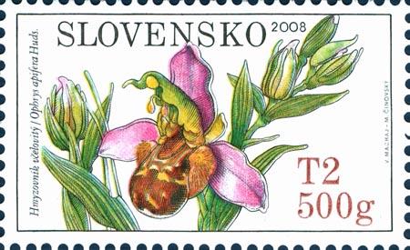 Slovensko 2008 - říjen-listopad Slovensko 2008 - říjen-listopad