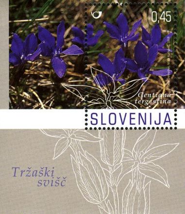 Slovinsko 2/2008 Slovinsko 2/2008
