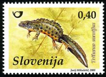 Slovinsko 3/2008 Slovinsko 3/2008