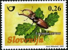 Slovinsko 4/2009 Slovinsko 4/2009