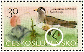Zpravodaj 4/2007: Známky pod drobnohledem Zpravodaj 4/2007: Známky pod drobnohledem