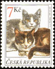 Chovatelství - kočky - Dvě kočky