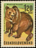 Lovná zvěř - medvěd brtník