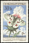 Motýli - jasoň červenooký