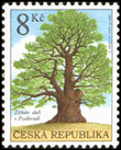 Ochrana přírody - Chráněné stromy - Žižkovův dub v Podhradí