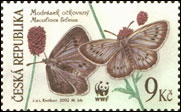 Ochrana přírody - ohrožení motýli - Modrásek očkovaný