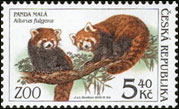 Ochrana přírody - zvířata v ZOO - Panda malá