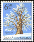 Ochrana přírody - Chráněné stromy - Zpívající lípa v Telecím